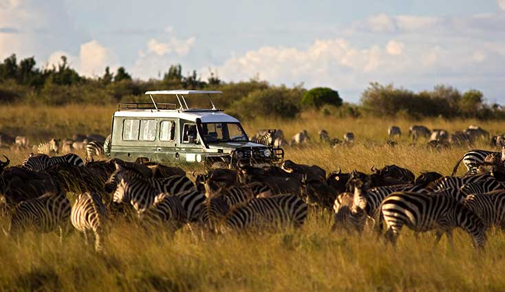 Africa