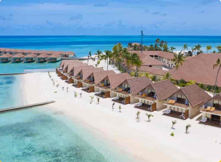 Cinnamon Velifushi