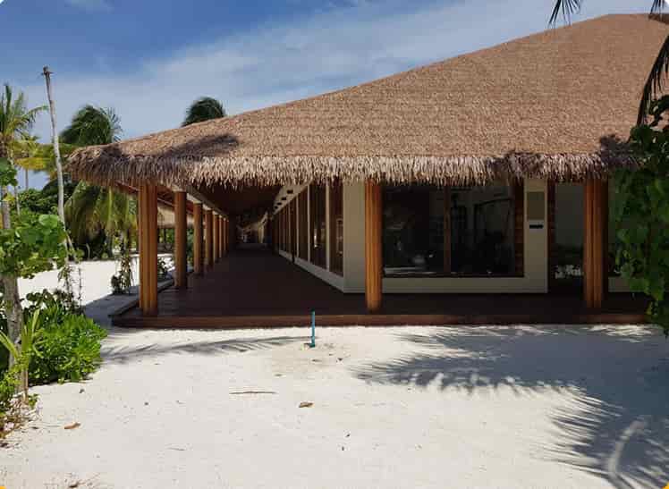 Cinnamon Velifushi