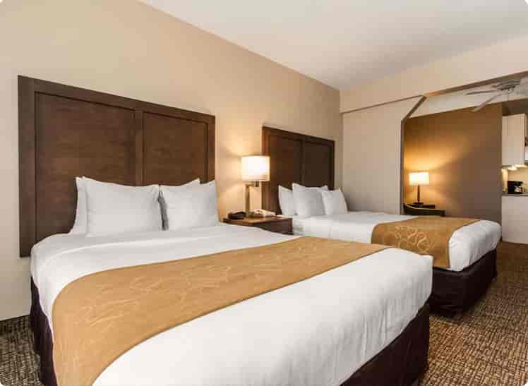 Comfort Suites Maingate East