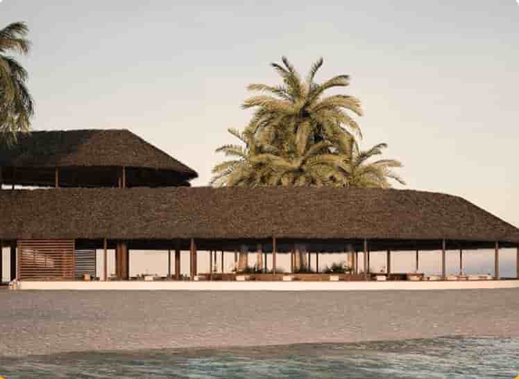 Cinnamon Velifushi