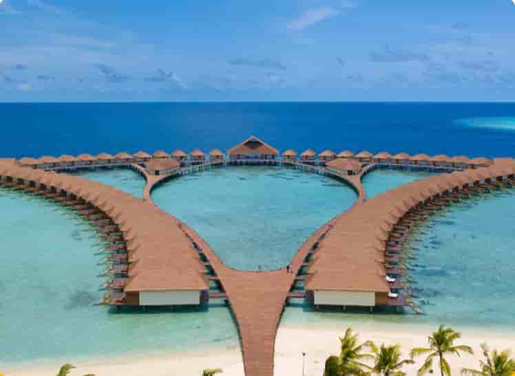 Cinnamon Velifushi